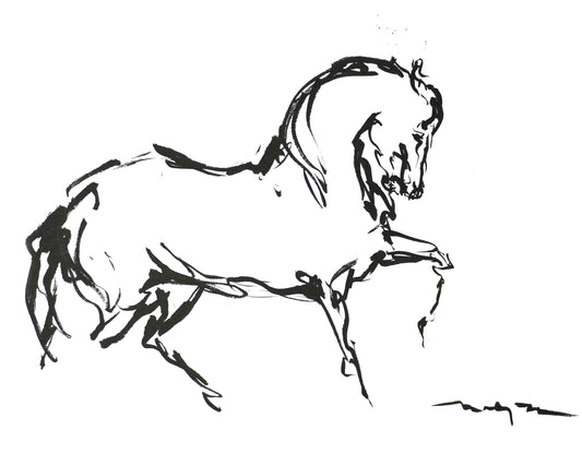 HORSE HARMONY