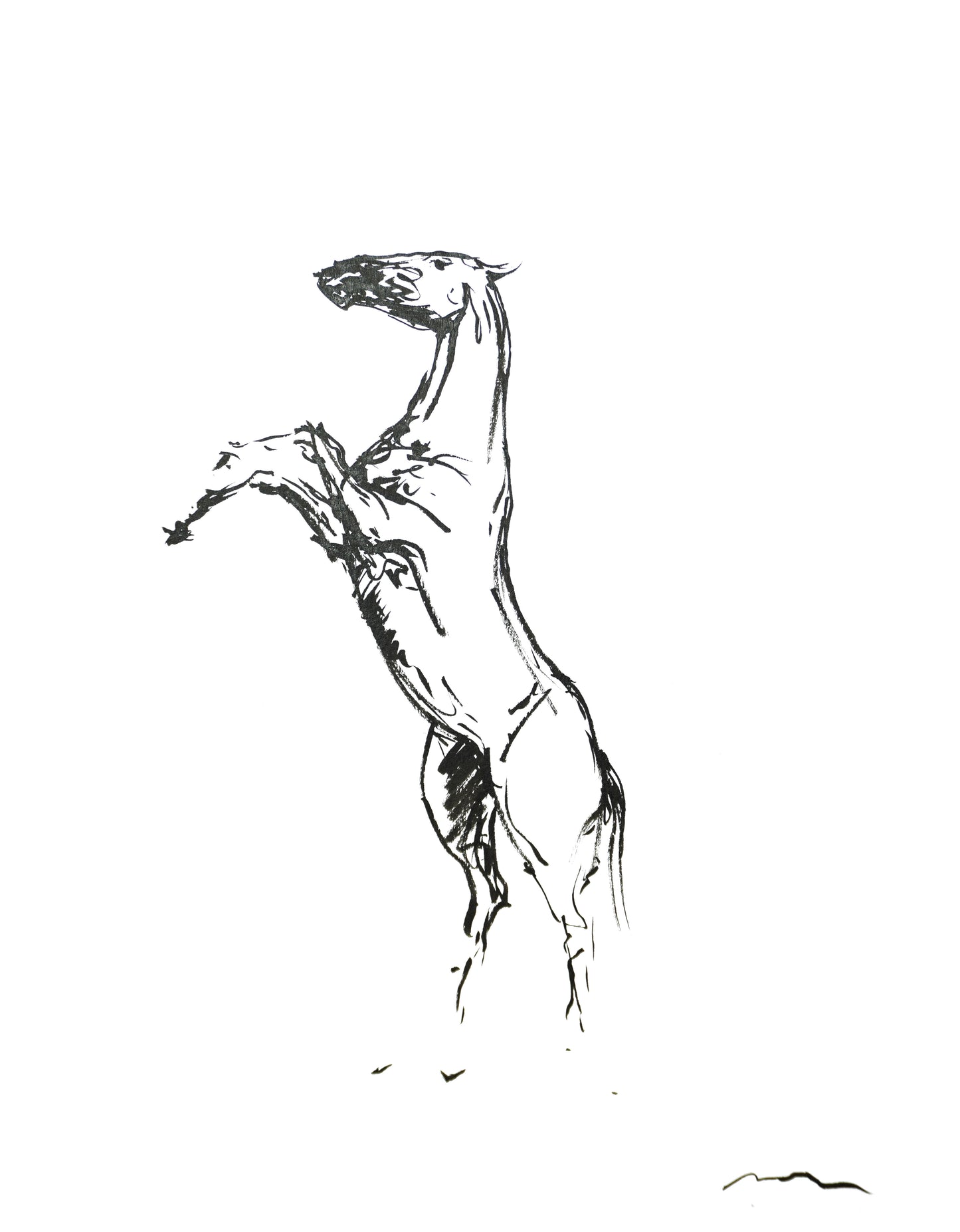 IN RIDING A HORSE, WE BORROW FREEDOM