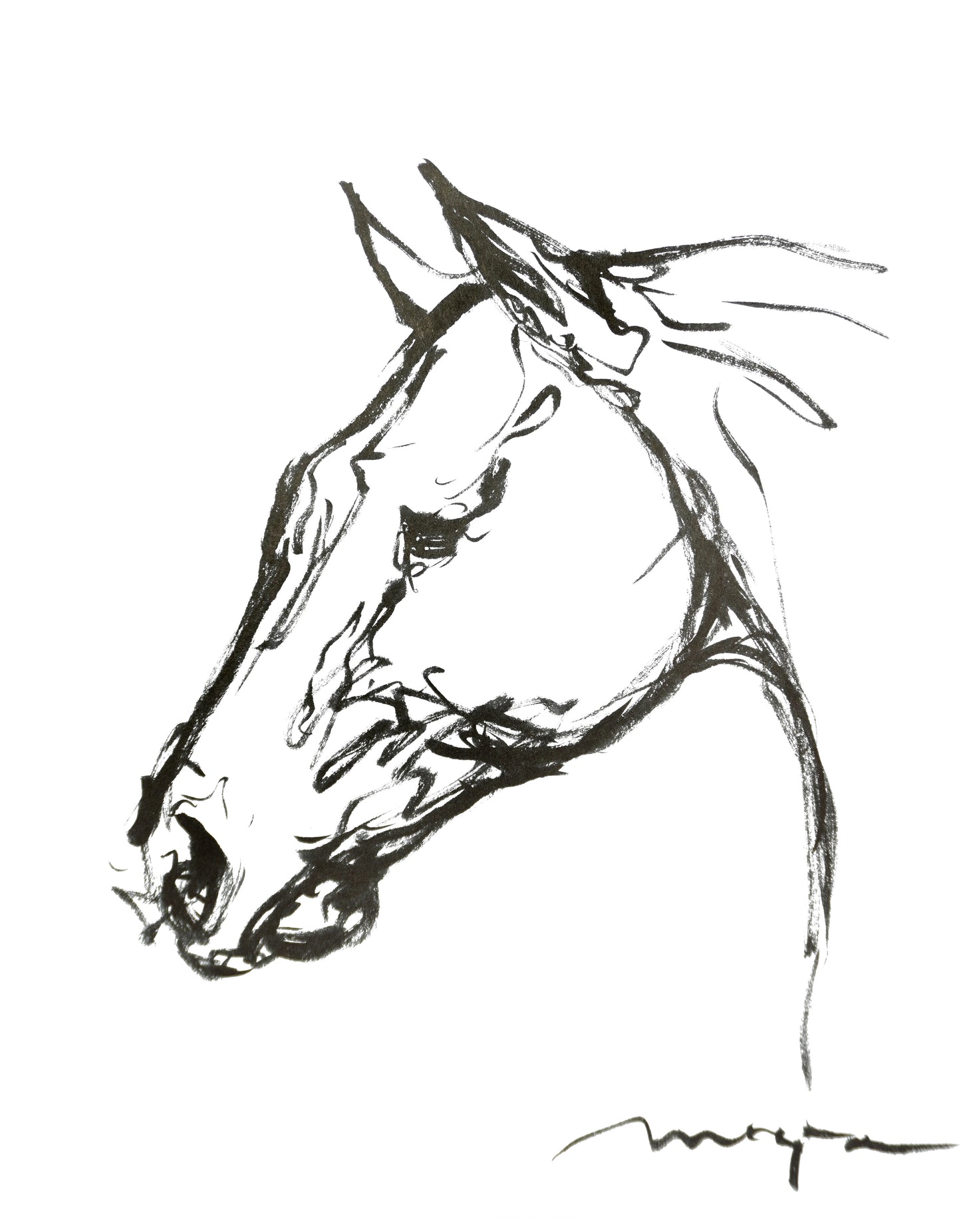 POLO PONY HEAD