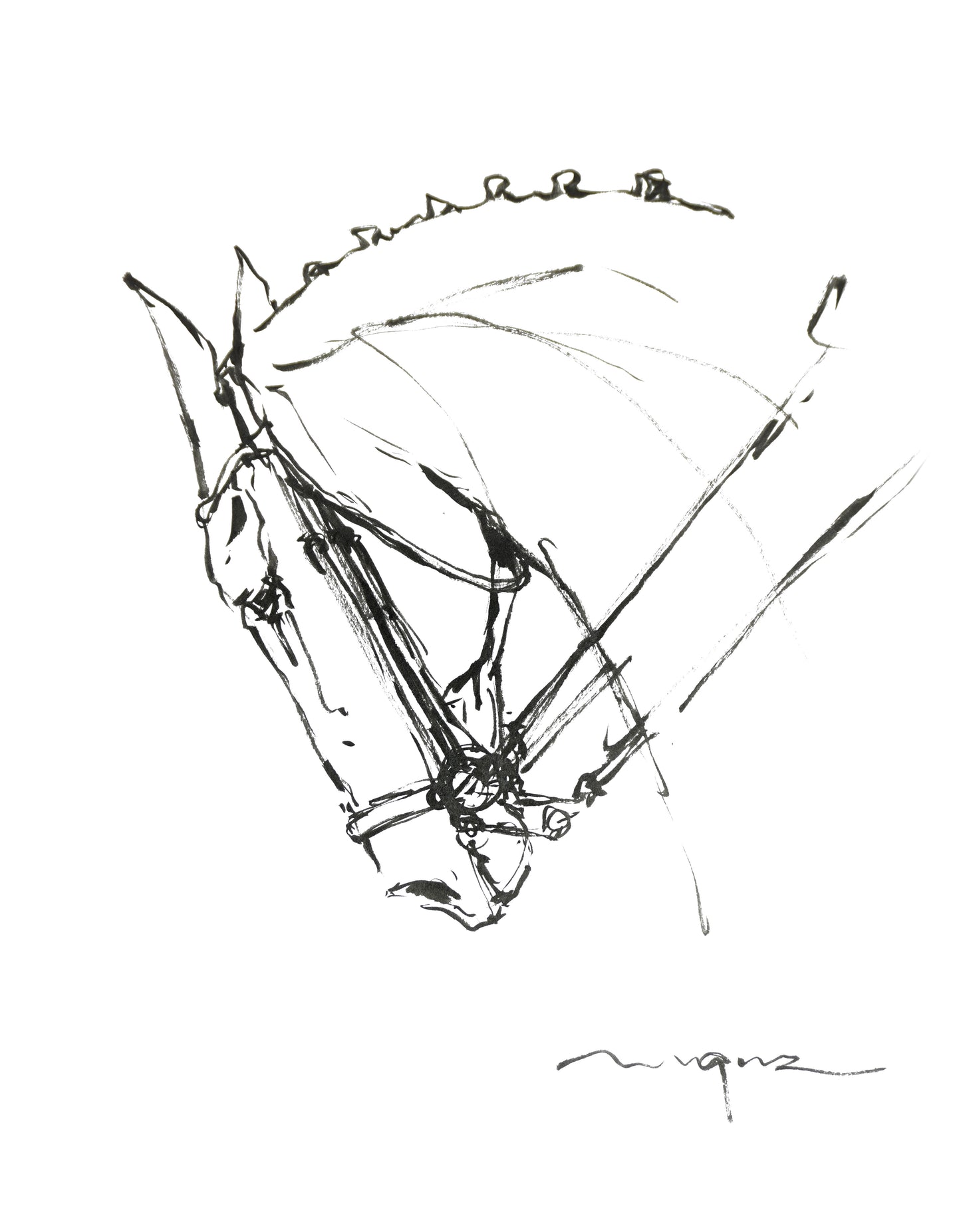 DRESSAGE HORSE