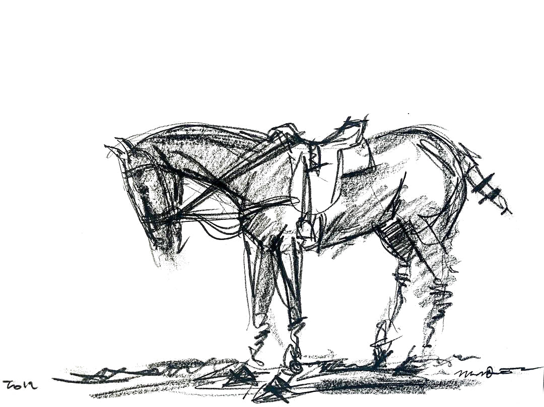 POLO PONY