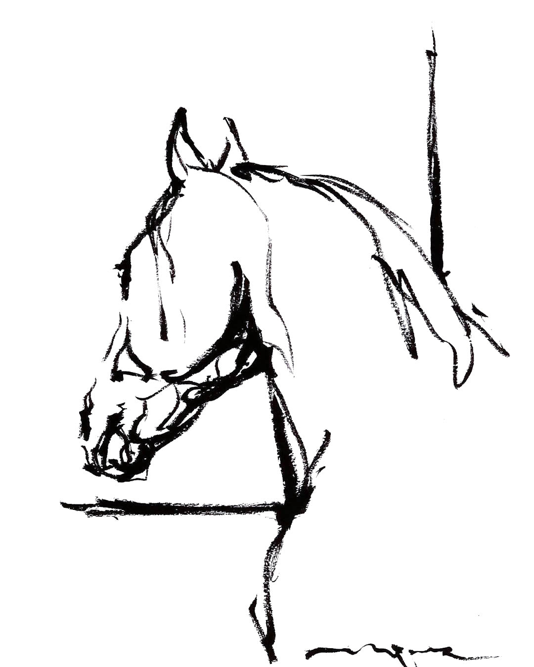THERE`S JUST SOMETHING ABOUT HORSES