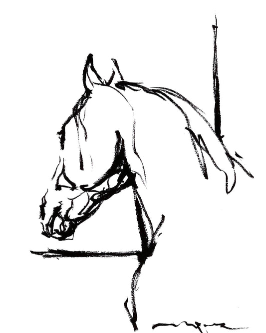 THERE`S JUST SOMETHING ABOUT HORSES