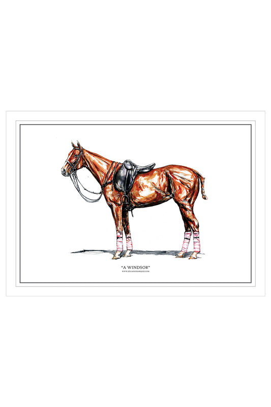 POLO PONY- Limited Edition Print