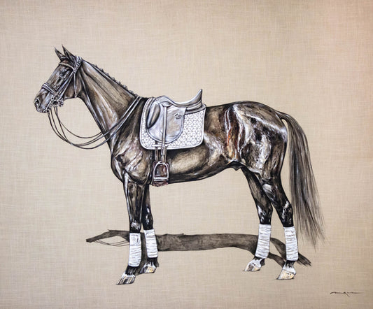 DRESSAGE HORSE