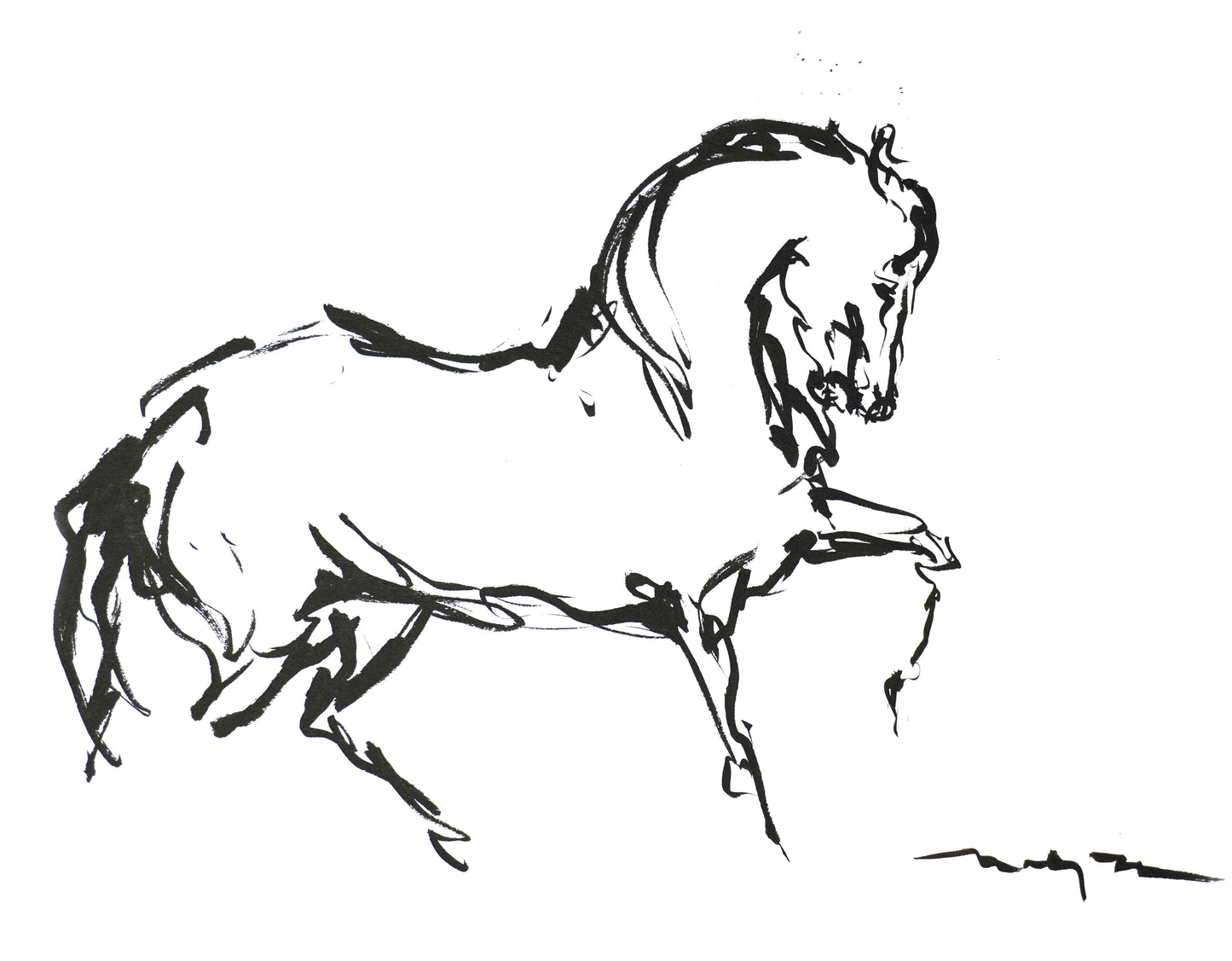 HORSE HARMONY