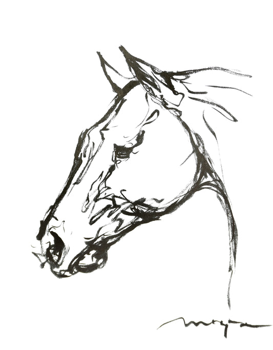 POLO PONY HEAD