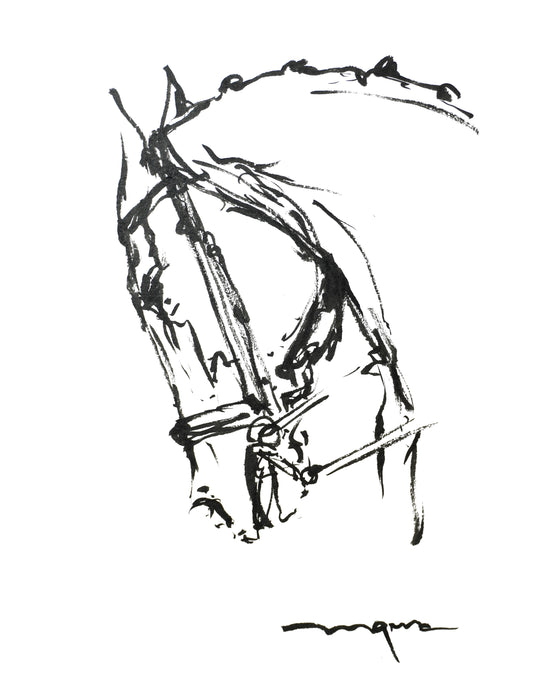 DRESSAGE H