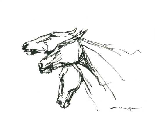 HERD