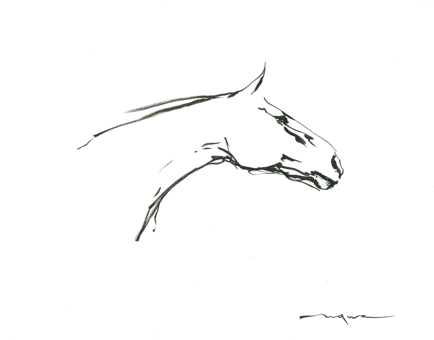 ANDALUSIAN DREAM