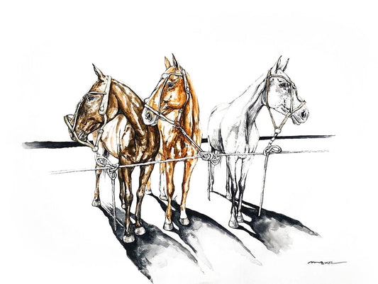 MARES