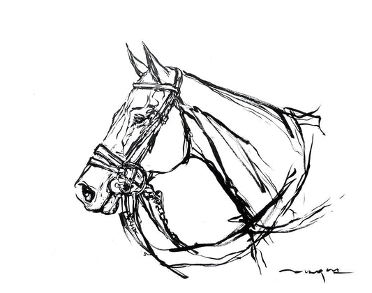 POLO PONY HEAD