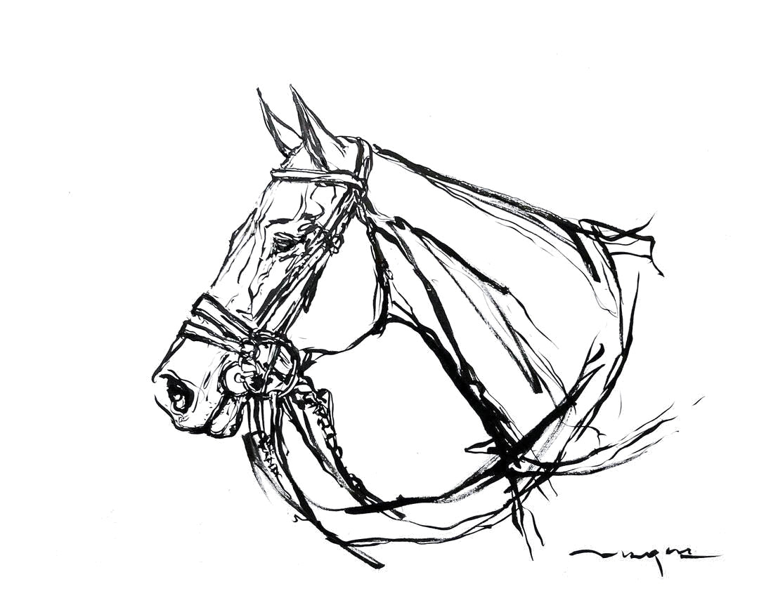 POLO PONY HEAD