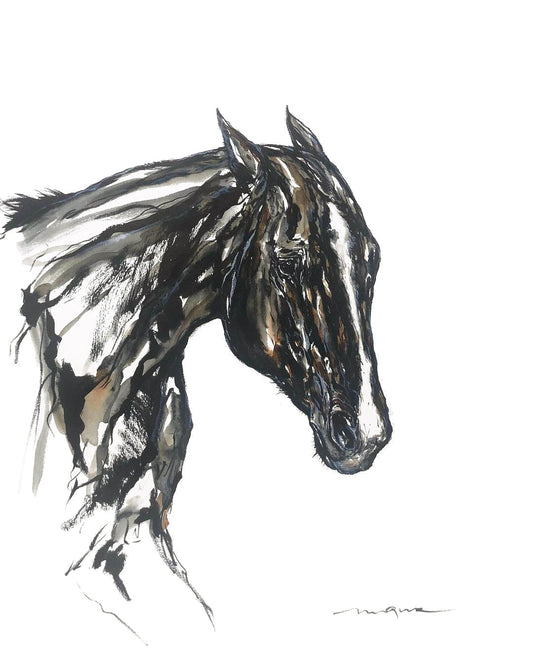 STUDY OF CALIFITA