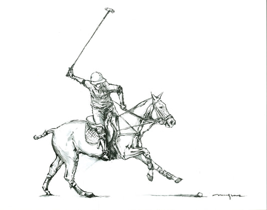 US POLO ASSN